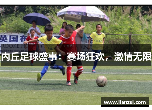 内丘足球盛事：赛场狂欢，激情无限